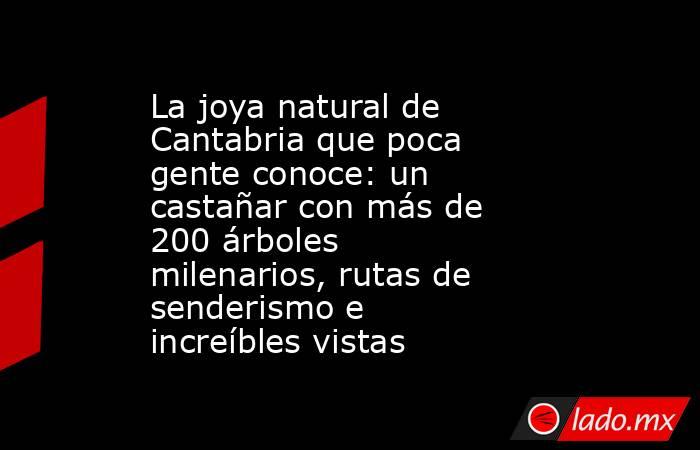 La joya natural de Cantabria que poca gente conoce: un castañar con más de 200 árboles milenarios, rutas de senderismo e increíbles vistas. Noticias en tiempo real