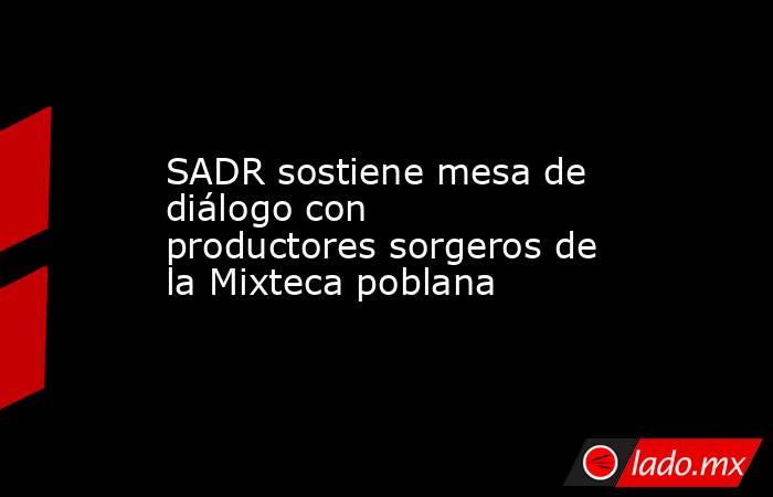 SADR sostiene mesa de diálogo con productores sorgeros de la Mixteca poblana. Noticias en tiempo real