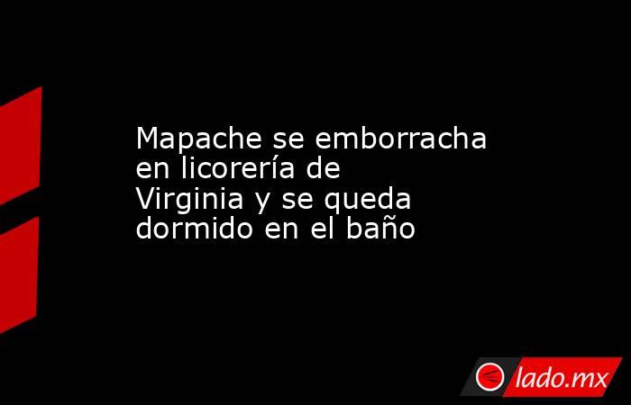 Mapache se emborracha en licorería de Virginia y se queda dormido en el baño . Noticias en tiempo real