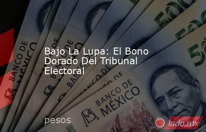 Bajo La Lupa: El Bono Dorado Del Tribunal Electoral. Noticias en tiempo real