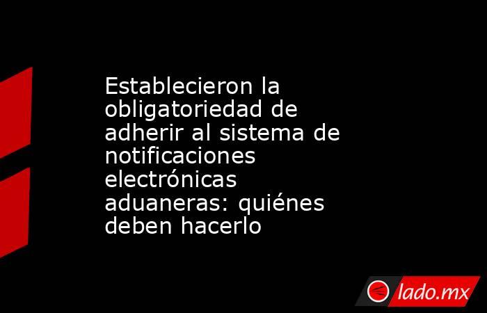 Establecieron la obligatoriedad de adherir al sistema de notificaciones electrónicas aduaneras: quiénes deben hacerlo. Noticias en tiempo real