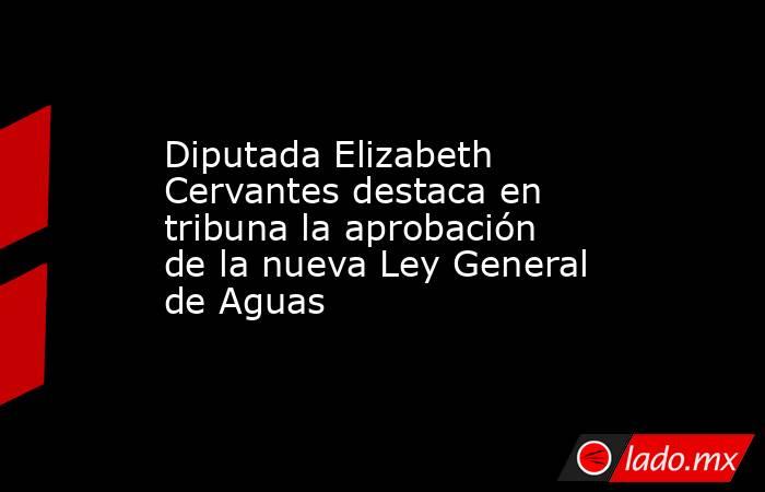 Diputada Elizabeth Cervantes destaca en tribuna la aprobación de la nueva Ley General de Aguas. Noticias en tiempo real