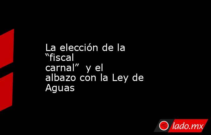 La elección de la “fiscal carnal”  y el albazo con la Ley de Aguas. Noticias en tiempo real
