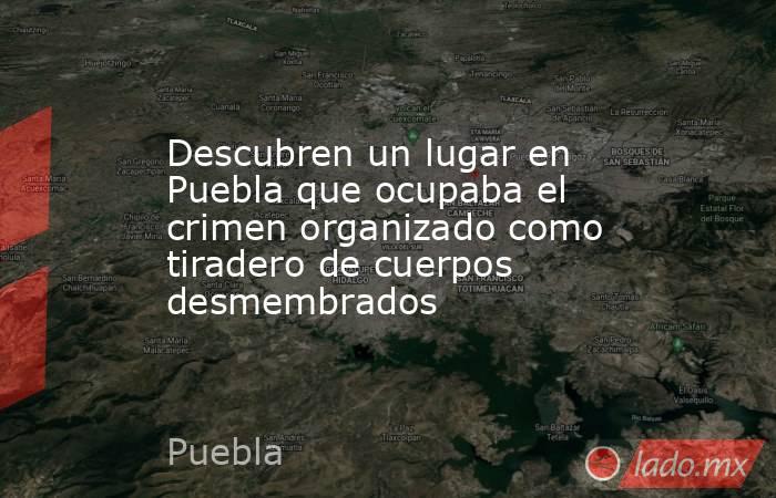 Descubren un lugar en Puebla que ocupaba el crimen organizado como tiradero de cuerpos desmembrados. Noticias en tiempo real