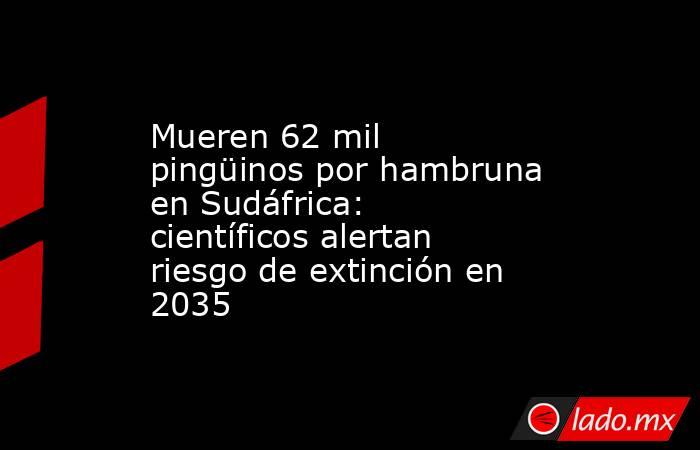 Mueren 62 mil pingüinos por hambruna en Sudáfrica: científicos alertan riesgo de extinción en 2035. Noticias en tiempo real