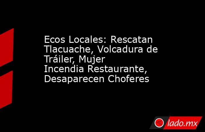 Ecos Locales: Rescatan Tlacuache, Volcadura de Tráiler, Mujer Incendia Restaurante, Desaparecen Choferes. Noticias en tiempo real