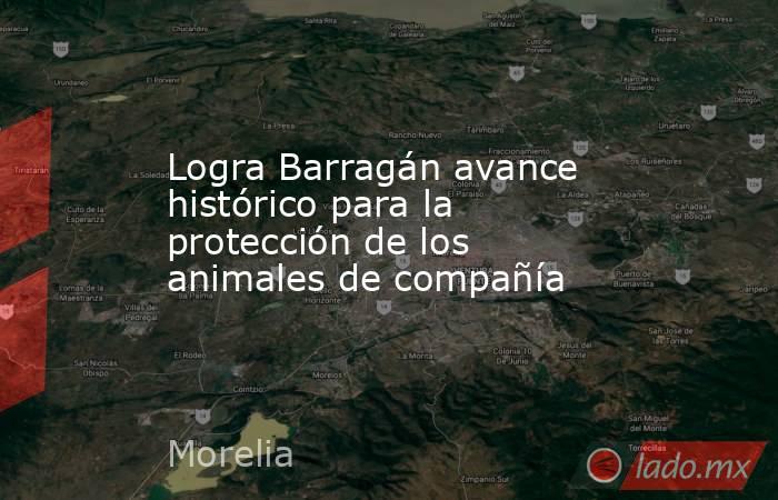 Logra Barragán avance histórico para la protección de los animales de compañía. Noticias en tiempo real