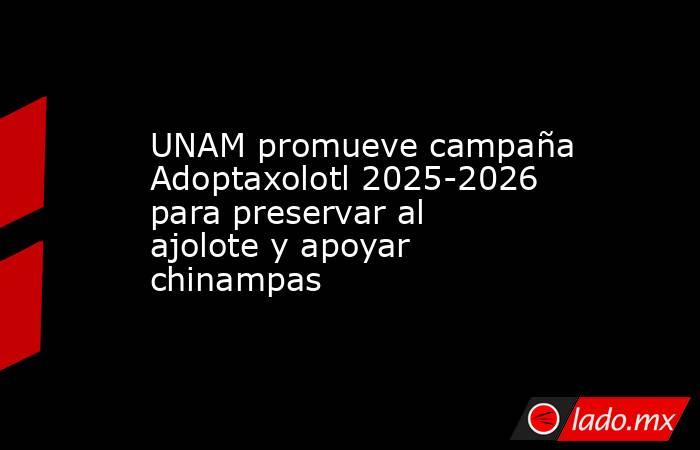 UNAM promueve campaña Adoptaxolotl 2025-2026 para preservar al ajolote y apoyar chinampas. Noticias en tiempo real