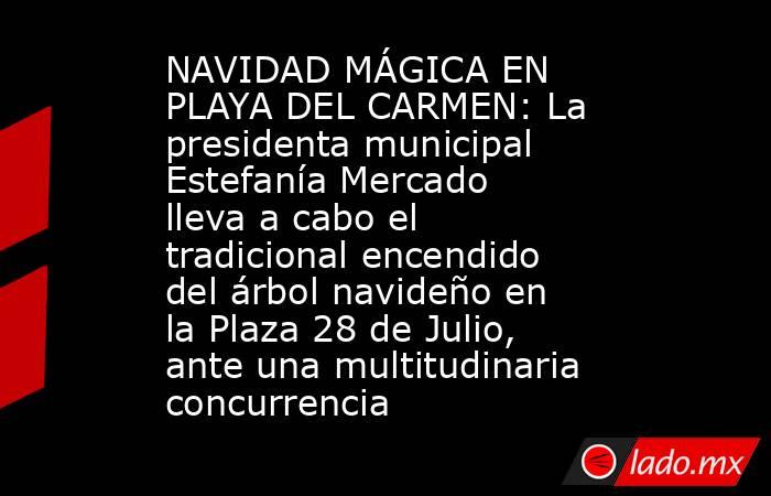 NAVIDAD MÁGICA EN PLAYA DEL CARMEN: La presidenta municipal Estefanía Mercado lleva a cabo el tradicional encendido del árbol navideño en la Plaza 28 de Julio, ante una multitudinaria concurrencia. Noticias en tiempo real