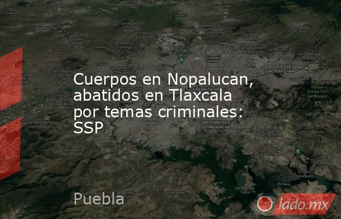 Cuerpos en Nopalucan, abatidos en Tlaxcala por temas criminales: SSP. Noticias en tiempo real