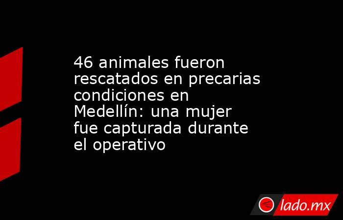 46 animales fueron rescatados en precarias condiciones en Medellín: una mujer fue capturada durante el operativo . Noticias en tiempo real