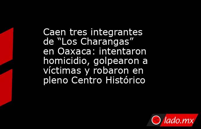 Caen tres integrantes de “Los Charangas” en Oaxaca: intentaron homicidio, golpearon a víctimas y robaron en pleno Centro Histórico. Noticias en tiempo real