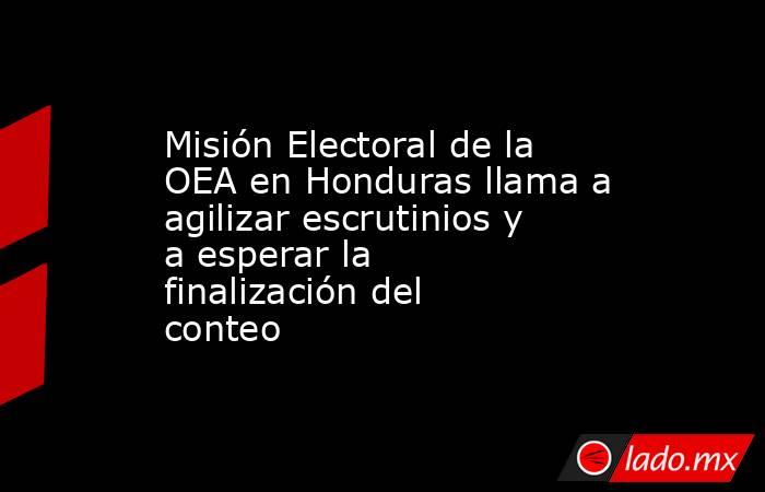 Misión Electoral de la OEA en Honduras llama a agilizar escrutinios y a esperar la finalización del conteo. Noticias en tiempo real