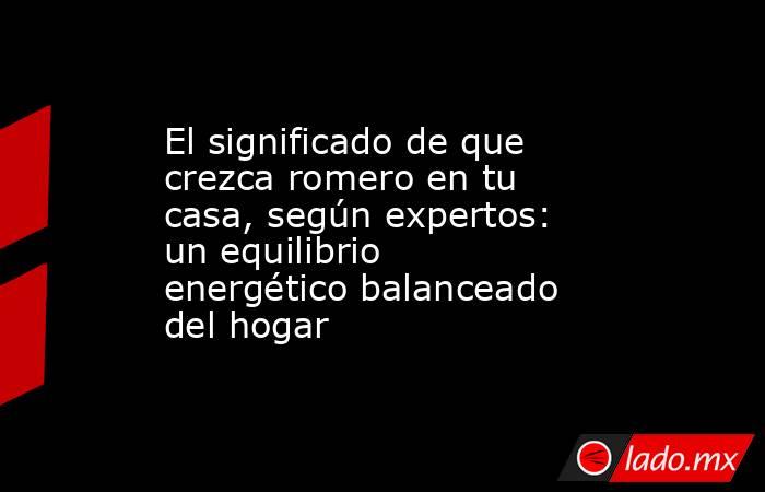 El significado de que crezca romero en tu casa, según expertos: un equilibrio energético balanceado del hogar. Noticias en tiempo real