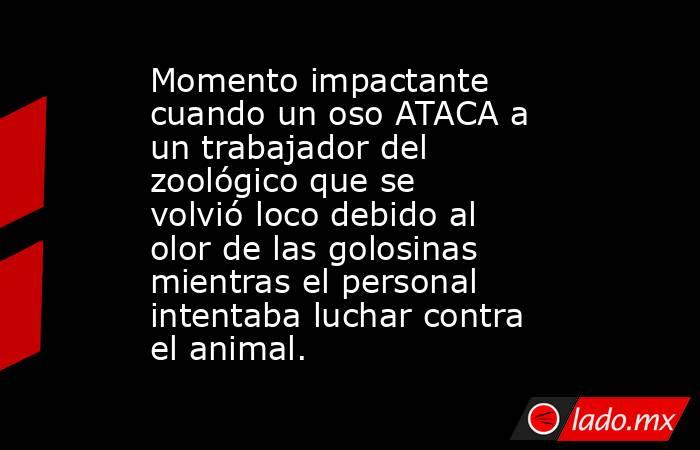 Momento impactante cuando un oso ATACA a un trabajador del zoológico que se volvió loco debido al olor de las golosinas mientras el personal intentaba luchar contra el animal.. Noticias en tiempo real