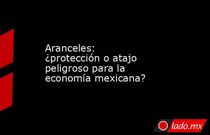 Aranceles: ¿protección o atajo peligroso para la economía mexicana?. Noticias en tiempo real