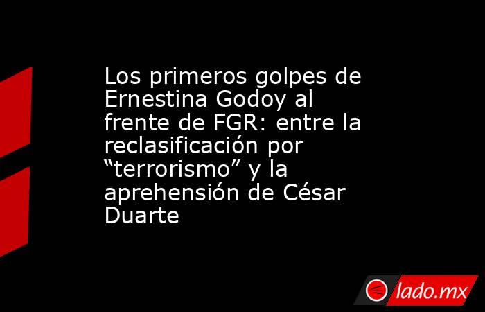 Los primeros golpes de Ernestina Godoy al frente de FGR: entre la reclasificación por “terrorismo” y la aprehensión de César Duarte. Noticias en tiempo real
