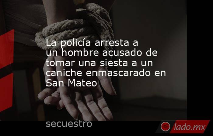 La policía arresta a un hombre acusado de tomar una siesta a un caniche enmascarado en San Mateo. Noticias en tiempo real