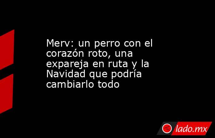 Merv: un perro con el corazón roto, una expareja en ruta y la Navidad que podría cambiarlo todo. Noticias en tiempo real