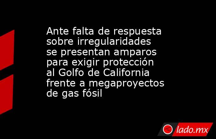 Ante falta de respuesta sobre irregularidades se presentan amparos para exigir protección al Golfo de California frente a megaproyectos de gas fósil. Noticias en tiempo real