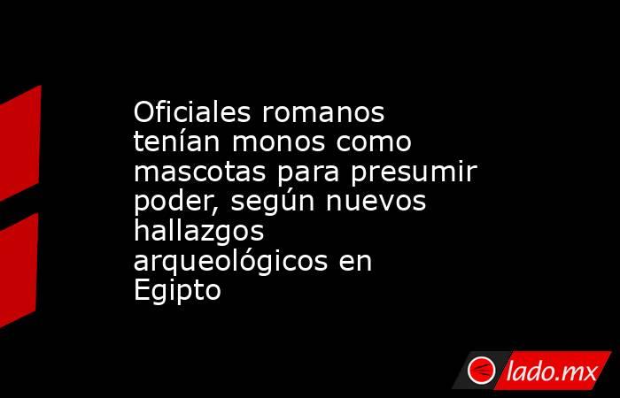 Oficiales romanos tenían monos como mascotas para presumir poder, según nuevos hallazgos arqueológicos en Egipto. Noticias en tiempo real