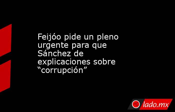 Feijóo pide un pleno urgente para que Sánchez de explicaciones sobre “corrupción”. Noticias en tiempo real