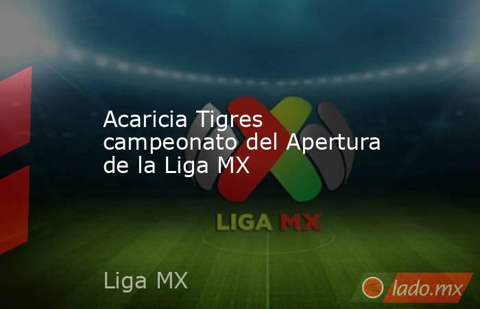 Acaricia Tigres campeonato del Apertura de la Liga MX. Noticias en tiempo real