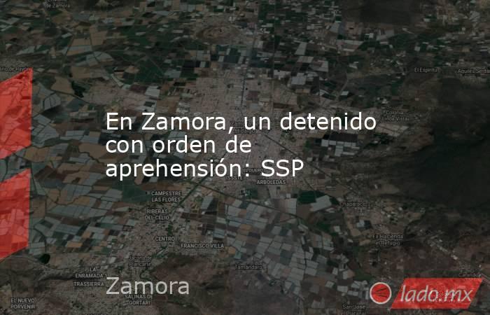 En Zamora, un detenido con orden de aprehensión: SSP. Noticias en tiempo real