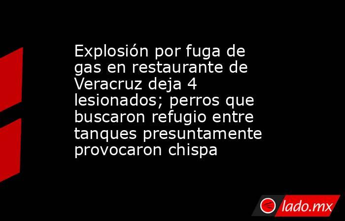 Explosión por fuga de gas en restaurante de Veracruz deja 4 lesionados; perros que buscaron refugio entre tanques presuntamente provocaron chispa. Noticias en tiempo real