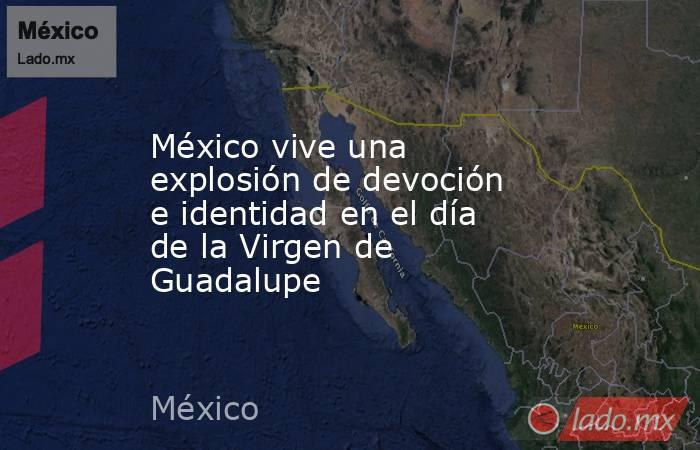 México vive una explosión de devoción e identidad en el día de la Virgen de Guadalupe. Noticias en tiempo real
