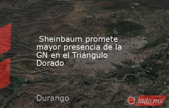  Sheinbaum promete mayor presencia de la GN en el Triángulo Dorado. Noticias en tiempo real