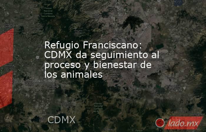 Refugio Franciscano: CDMX da seguimiento al proceso y bienestar de los animales . Noticias en tiempo real
