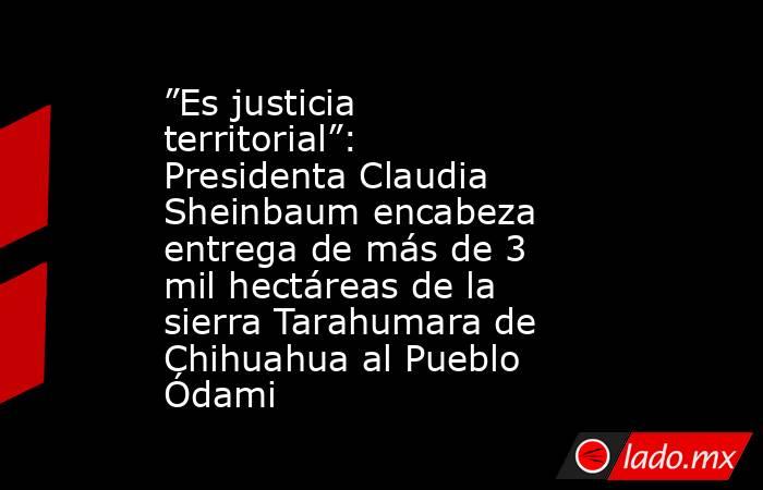 ”Es justicia territorial”: Presidenta Claudia Sheinbaum encabeza entrega de más de 3 mil hectáreas de la sierra Tarahumara de Chihuahua al Pueblo Ódami. Noticias en tiempo real