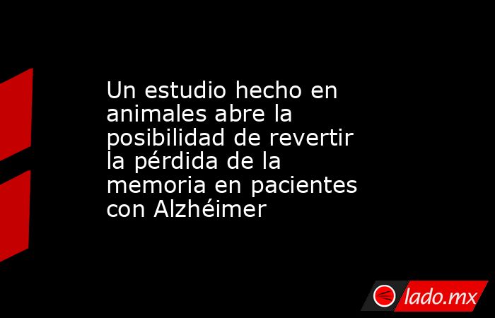 Un estudio hecho en animales abre la posibilidad de revertir la pérdida de la memoria en pacientes con Alzhéimer. Noticias en tiempo real