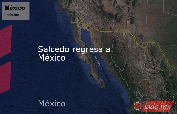Salcedo regresa a México. Noticias en tiempo real