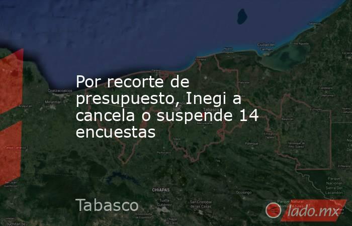 Por recorte de presupuesto, Inegi a cancela o suspende 14 encuestas. Noticias en tiempo real