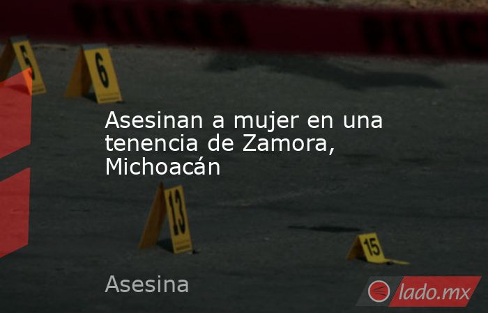 Asesinan a mujer en una tenencia de Zamora, Michoacán. Noticias en tiempo real