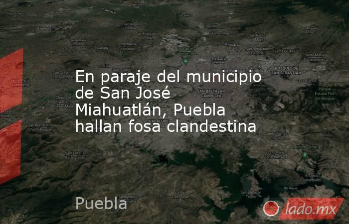 En paraje del municipio de San José Miahuatlán, Puebla hallan fosa clandestina. Noticias en tiempo real