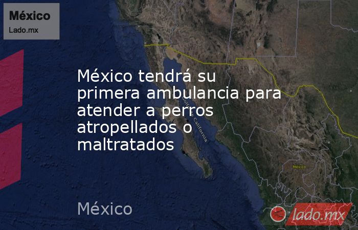 México tendrá su primera ambulancia para atender a perros atropellados o maltratados. Noticias en tiempo real