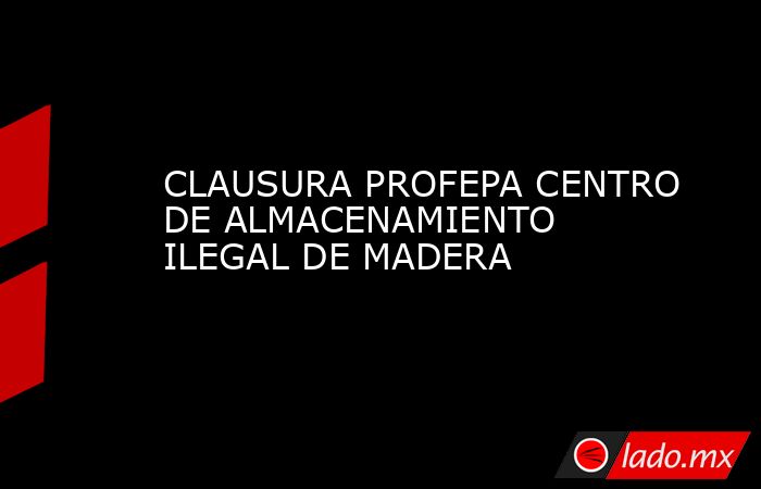 CLAUSURA PROFEPA CENTRO DE ALMACENAMIENTO ILEGAL DE MADERA. Noticias en tiempo real
