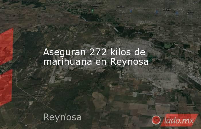 Aseguran 272 kilos de marihuana en Reynosa. Noticias en tiempo real