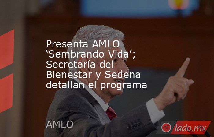 Presenta AMLO ‘Sembrando Vida’; Secretaría del Bienestar y Sedena detallan el programa. Noticias en tiempo real