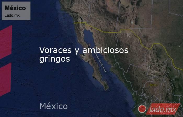 Voraces y ambiciosos gringos. Noticias en tiempo real