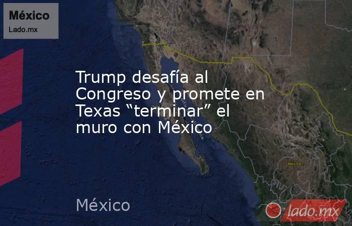 Trump desafía al Congreso y promete en Texas “terminar” el muro con México. Noticias en tiempo real