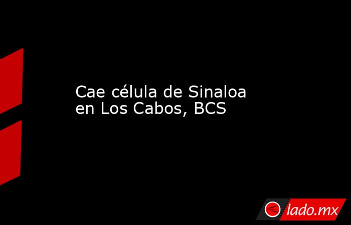 Cae célula de Sinaloa en Los Cabos, BCS. Noticias en tiempo real