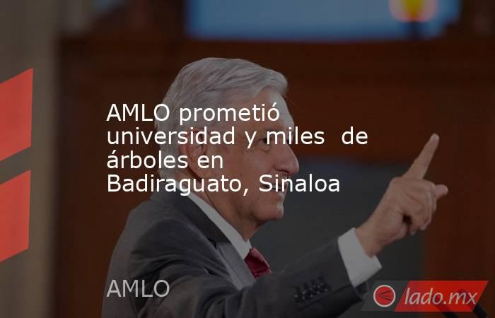 AMLO prometió universidad y miles  de árboles en Badiraguato, Sinaloa. Noticias en tiempo real