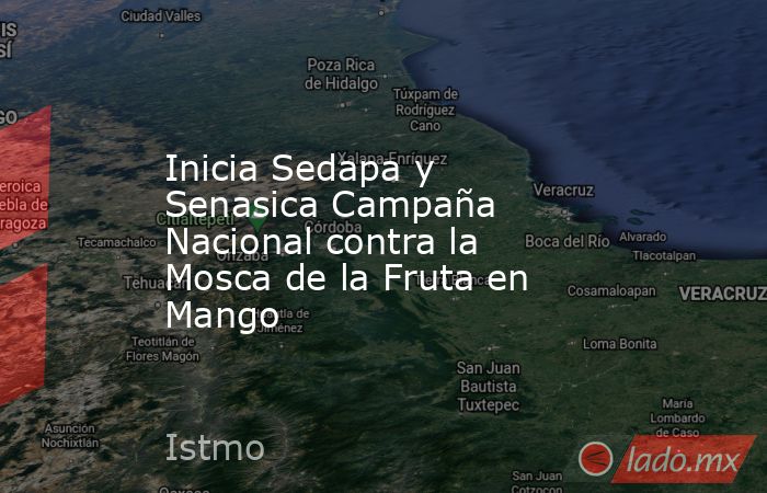 Inicia Sedapa y Senasica Campaña Nacional contra la Mosca de la Fruta en Mango. Noticias en tiempo real