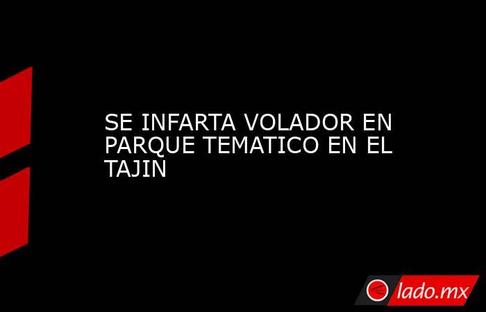 SE INFARTA VOLADOR EN PARQUE TEMATICO EN EL TAJIN. Noticias en tiempo real