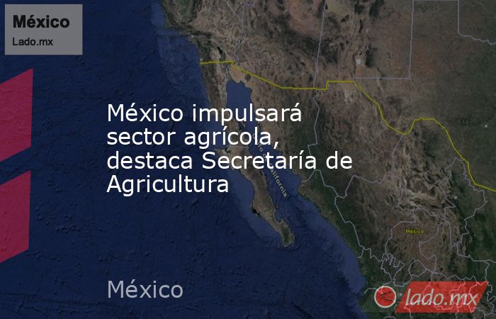 México impulsará sector agrícola, destaca Secretaría de Agricultura. Noticias en tiempo real
