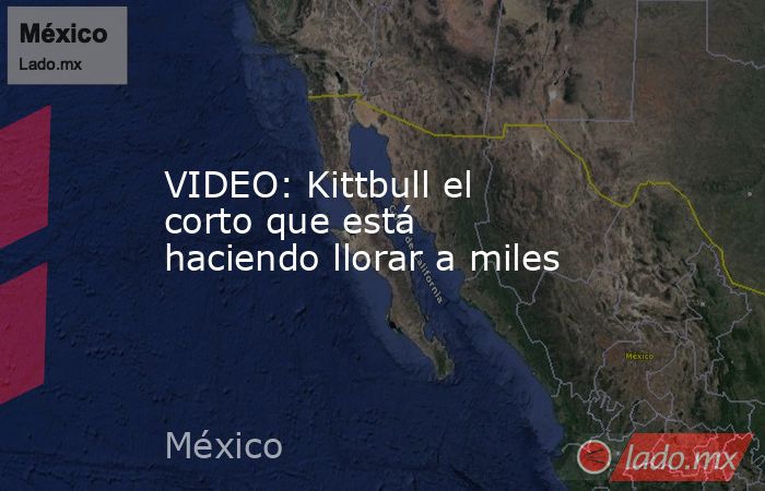 VIDEO: Kittbull el corto que está haciendo llorar a miles. Noticias en tiempo real